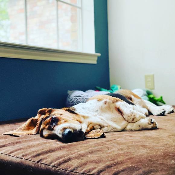 Meet your Posher, Erica - Picture 1 of 1